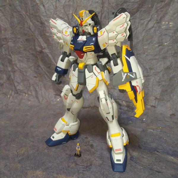 1/100MGサンドロックEW