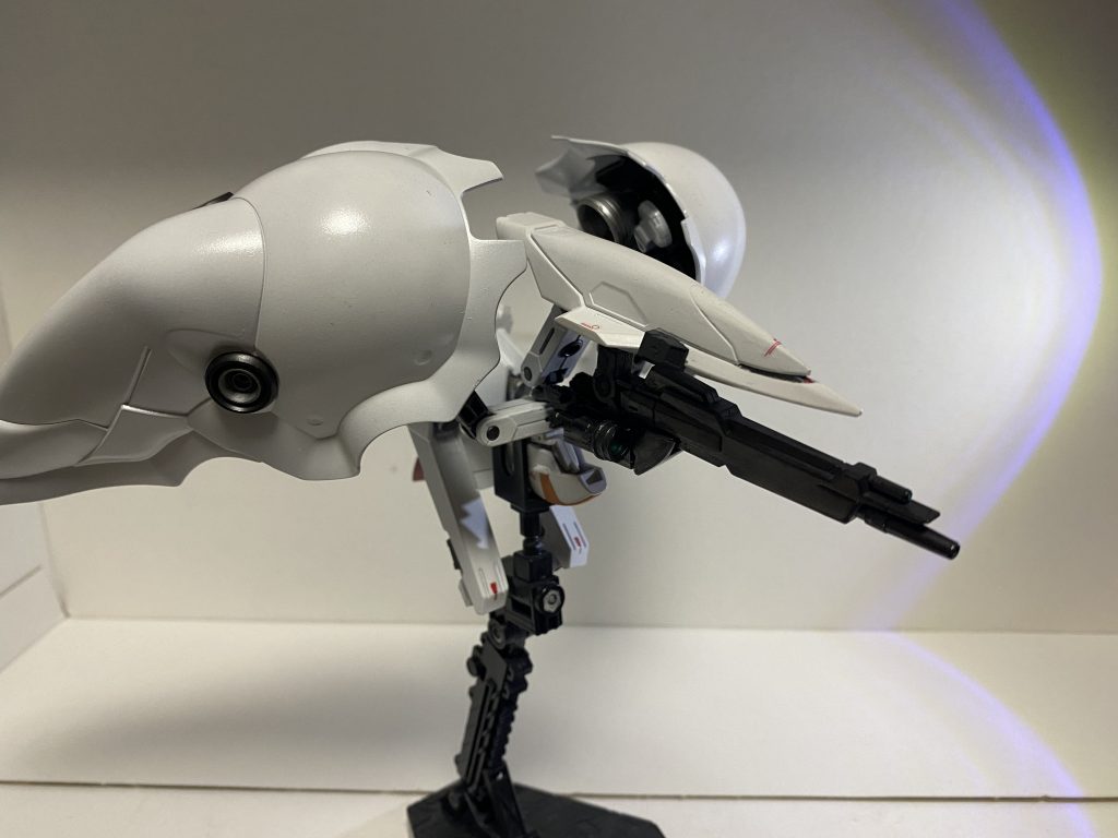 無人型支援ユニット、BWS。G-NexTのパイロットからの脳波信号を受け、自律して追従する。アムロ・レイがグラプス戦争時、ジオン系の技術が強く出た機体に乗っていたことから、モノアイが採用されている。シュートライフルユニット、ガトリングガンユニットを装備可能なほか、大気圏パック、ファンネルユニットもマウント可。左右のバインダーには計12基のファンネルが装備されている。このユニットがパイロットの脳波に大きな負担を掛けたことが、G-NexT封印の原因と言われている。このBWSのみを封印していた場合にも、G-NexT起動の際には自律して封印を解き、追従を始めたため、曰く付きの機体では、と言われている。また、リガズィのBWS(バックウェポンシステム)から取ったものとされるが、白鳥の姿に似ていることからBWS(Beaut-White SWAN)と名付けられたのでは、とも言われている。「美しいものが嫌いな人がいて…？」