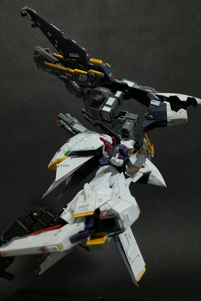 下から見上げたアングルです。美しいシルエットですね(笑)。