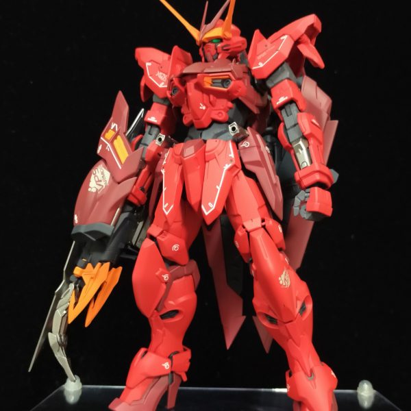 MG RGX-00 TESTAMENT GUNDAM　【Rosso】