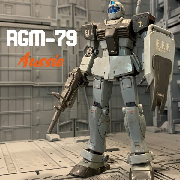 ジム　ホワイトディンゴ風