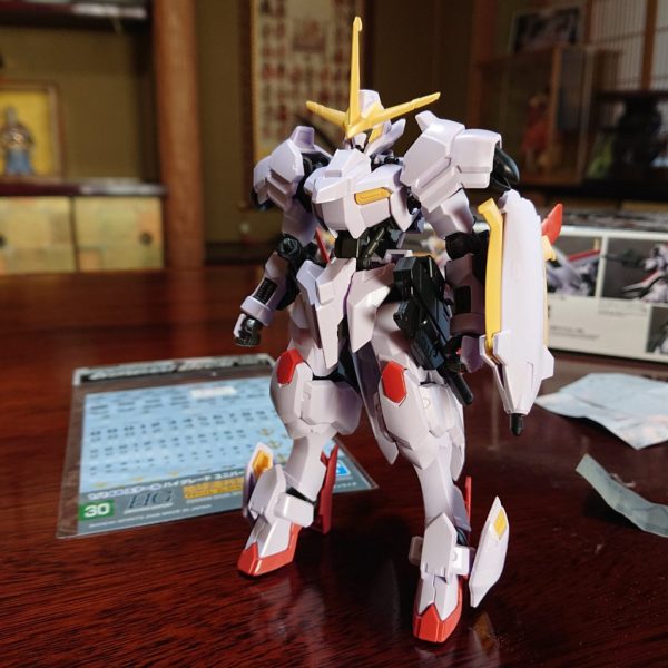 HG ガンダム端白星