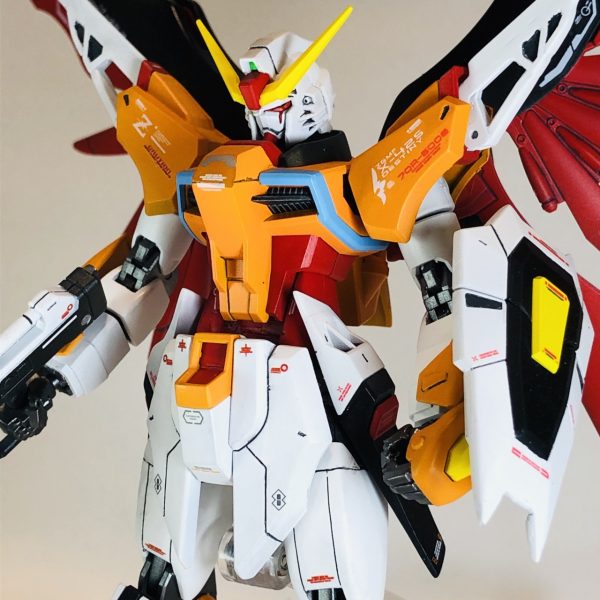 HGCE デスティニーガンダム ハイネカラー