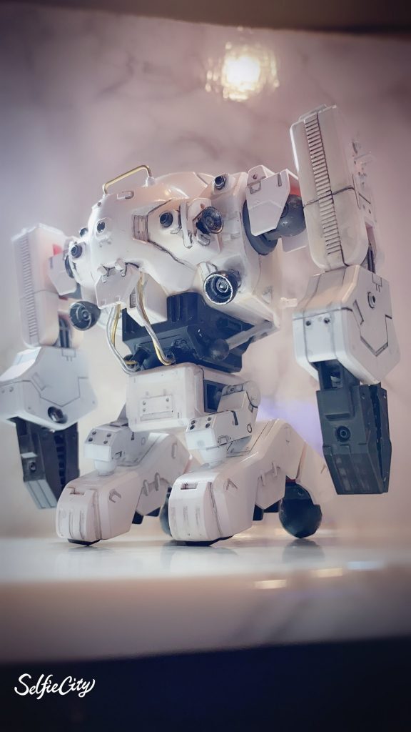 そのバックショット。まだ汚れなどほとんどありません