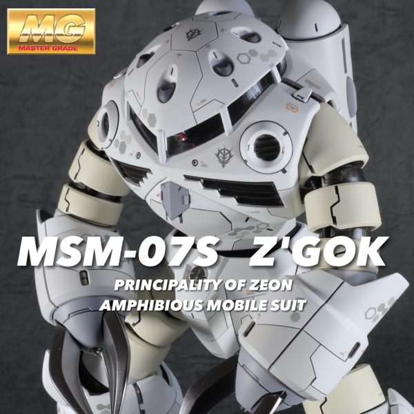 MG1/100 ズゴック冬季迷彩