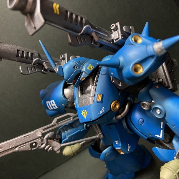 ケンプファー(初投稿です！)