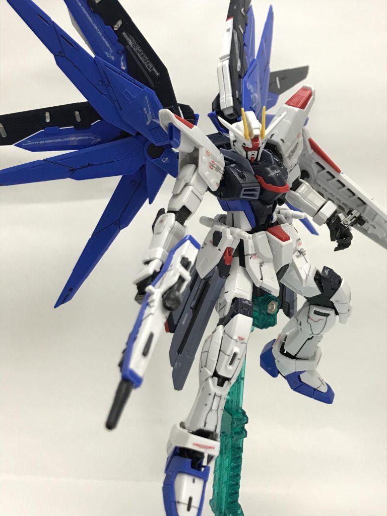 羽根広げた状態ただただカッコいいと思う