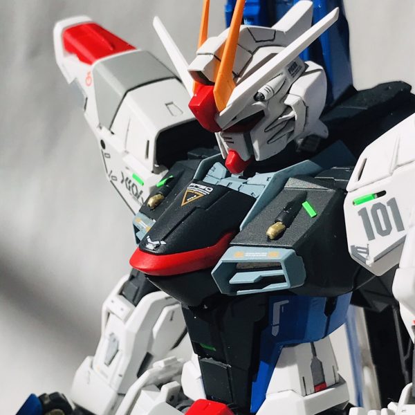 MG フリーダムガンダム ver2.0 アナログキッズ作
