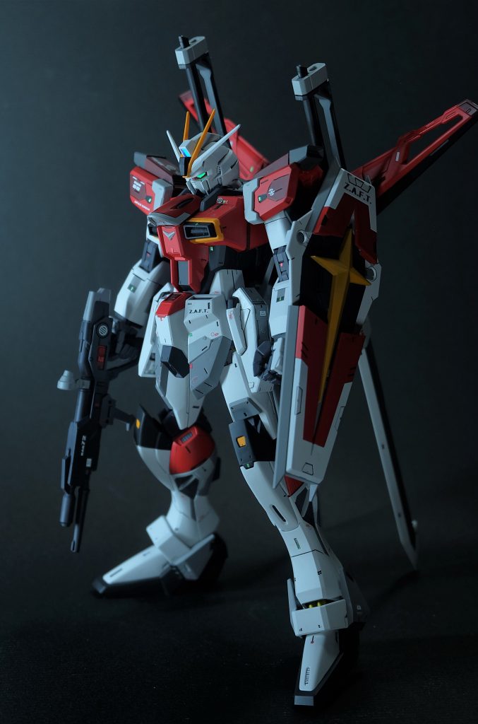 毎度のセンサー発光。写真映えがするのでお気に入り。