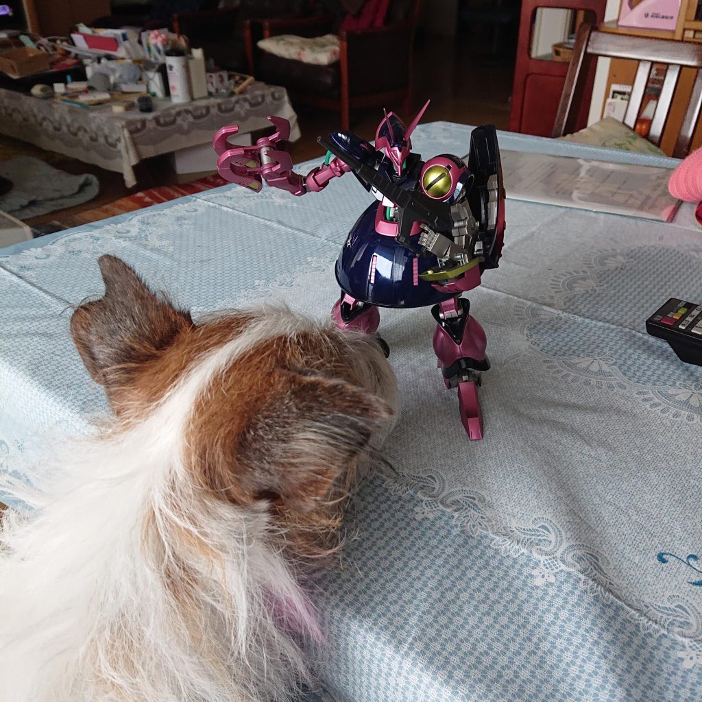 最後に、リアルイッヌとのコラボを(*^｡^*)