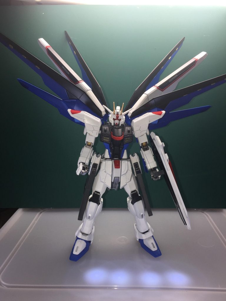 ウィングは通常の閉じと展開とメタルビルド様展開の三種類が出来るように改造。この部分はもう少しいい方法がなかったものか？と考えてます。