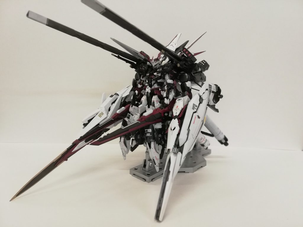 こちらは全体の写真です。サイズ感はMGディープストライカー並の大きさです。