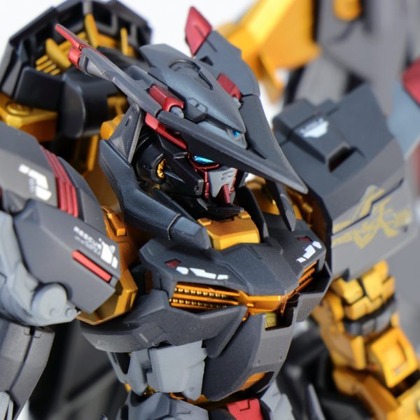 ガンダムアストレイ ゴールドフレーム天ミナ