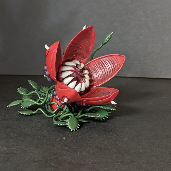 鳳仙花（ホウセンカ）