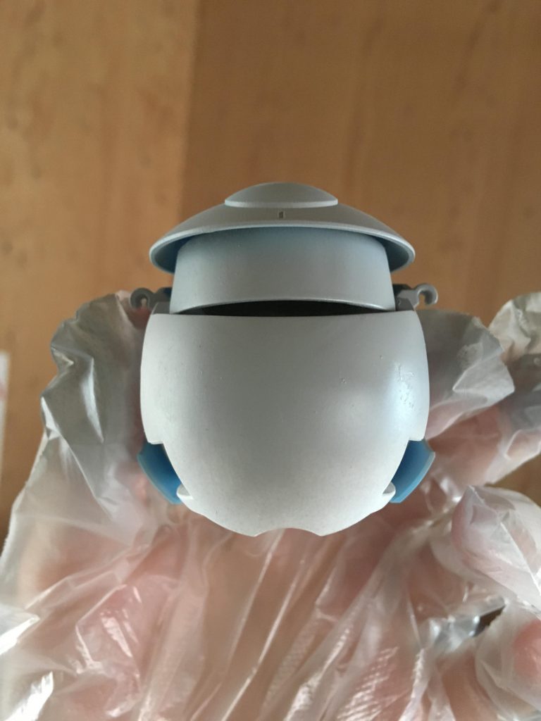 目とクチバシは埋めました。