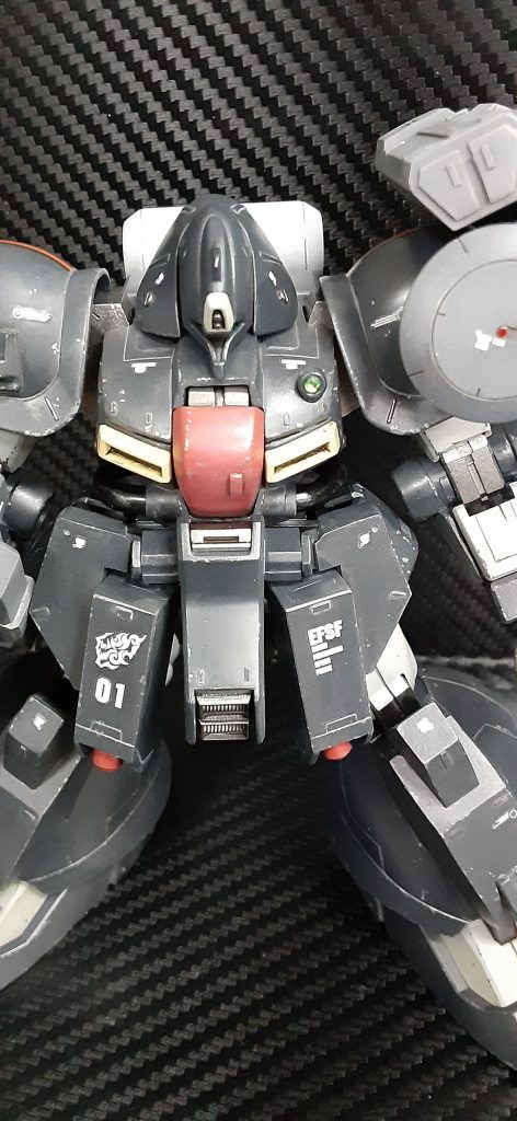 各部隊からの選りすぐりのスーパーエースが集う教導部隊の隊長機01という設定です。隊長さんは元ティターンズ出身という、脳内設定です。