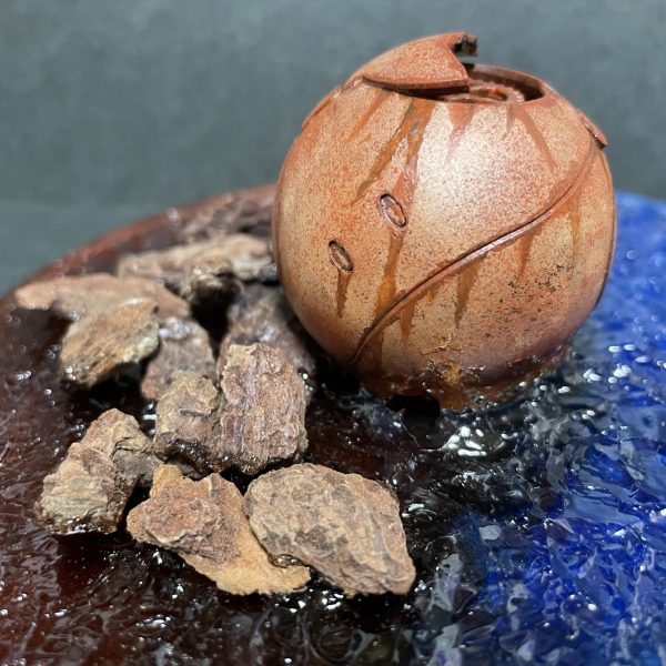 流れ着いたやつ