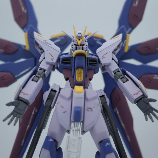 HGCE ストライクフリーダム(毒)