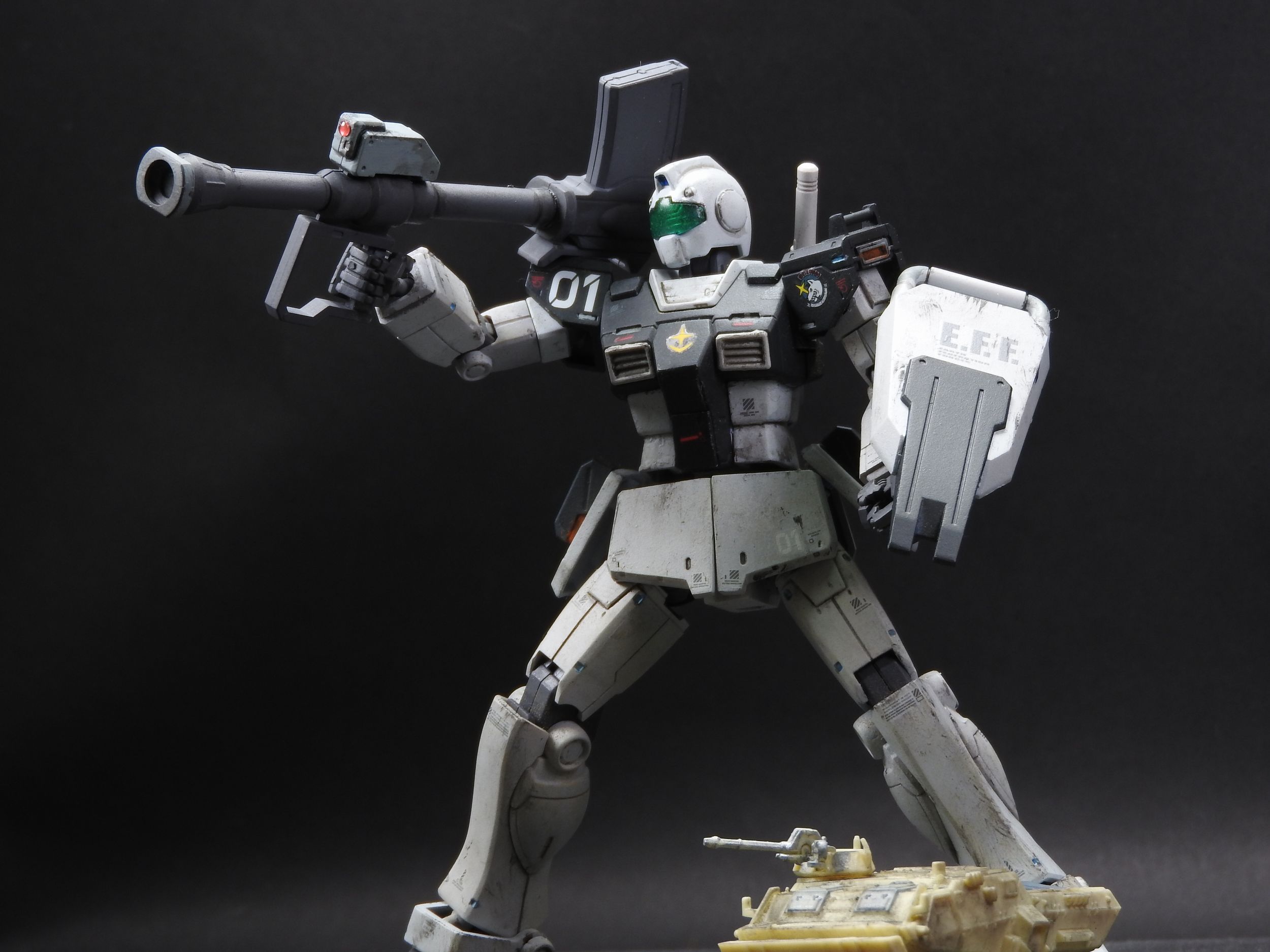 プレバン MG RGM-79 GM ジム ホワイトディンゴ隊仕様-