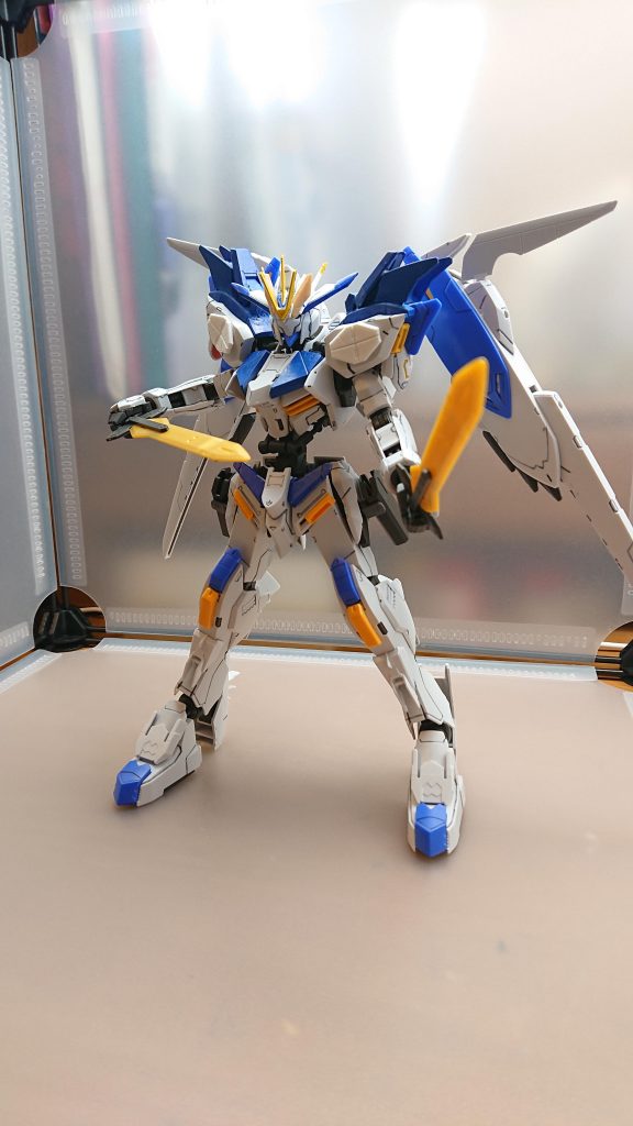 聖剣バルキリー二対一体の剣であらゆる金属を切ることができる様々な剣術を行えるよう設計されている為あらゆる状況下での戦闘を可能としている