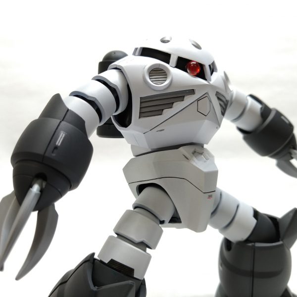 ズゴック　寒冷地カラー