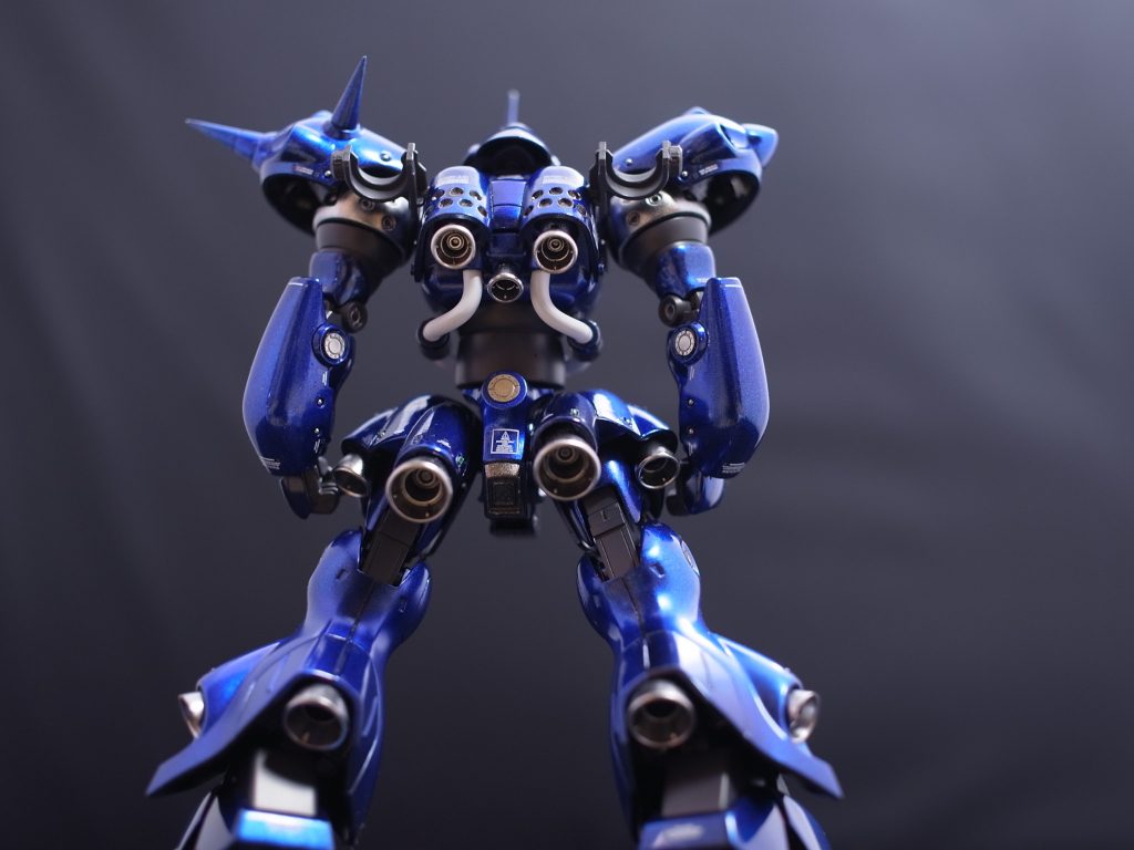 バックショット。剣闘士の名に恥じない逞しさ。