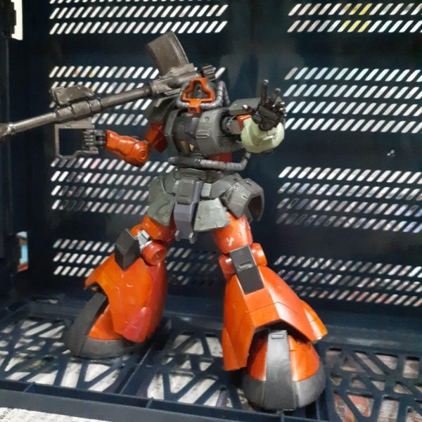 ドム　シグカスタム