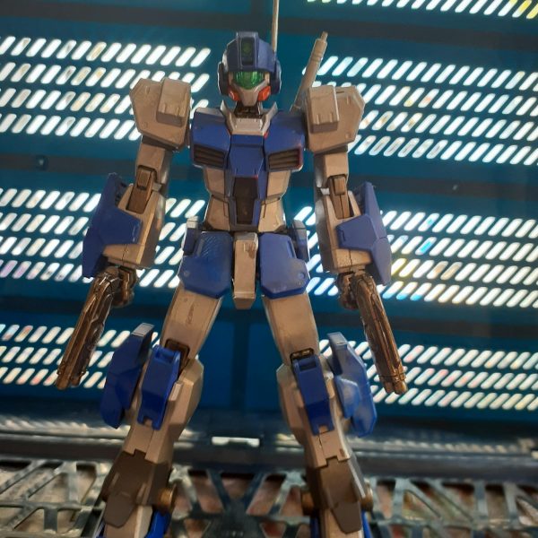 ジムドミナンスF