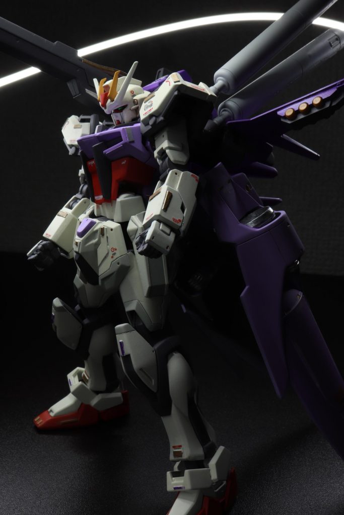 色々な部分がガタガタになり、このポーズしか取れません...