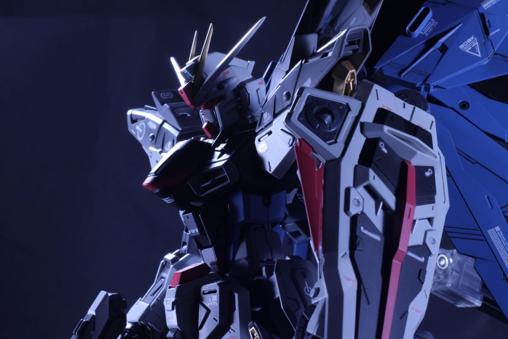 偉そうにしてますが右股関節はやはり骨折しました( ´•ω•` )ｼｮﾎﾞｰﾝ