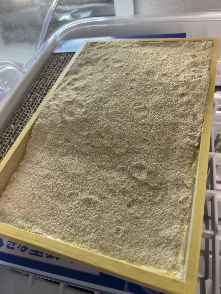 ジオラマ用の砂を巻いてボンド水