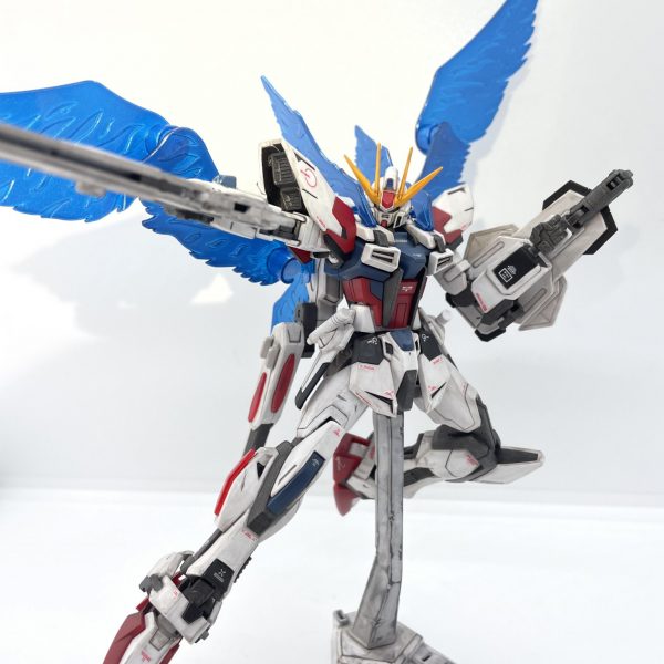 HGBFスタービルドストライクガンダムプラフスキーウイング