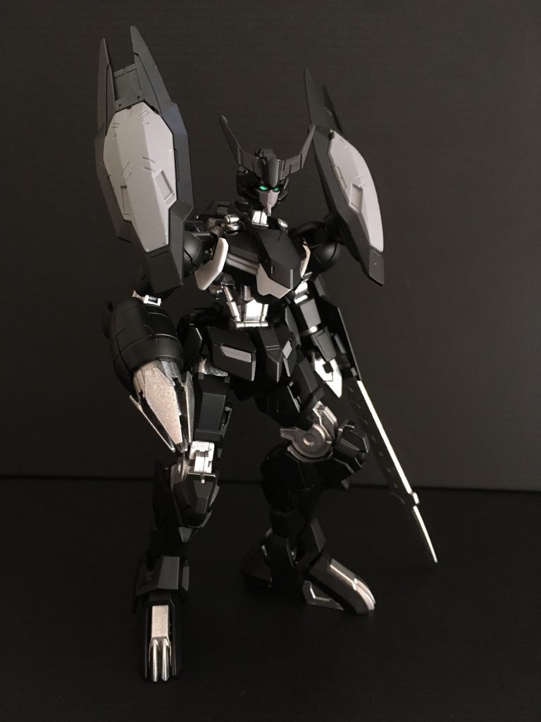 個別にカスタマイズされた機体も存在する。しかし、規格外の機体は、稼働時間が短くなり、扱いも難しくなっている為、主に「エースパイロット専用機」として使用されていたようだ。