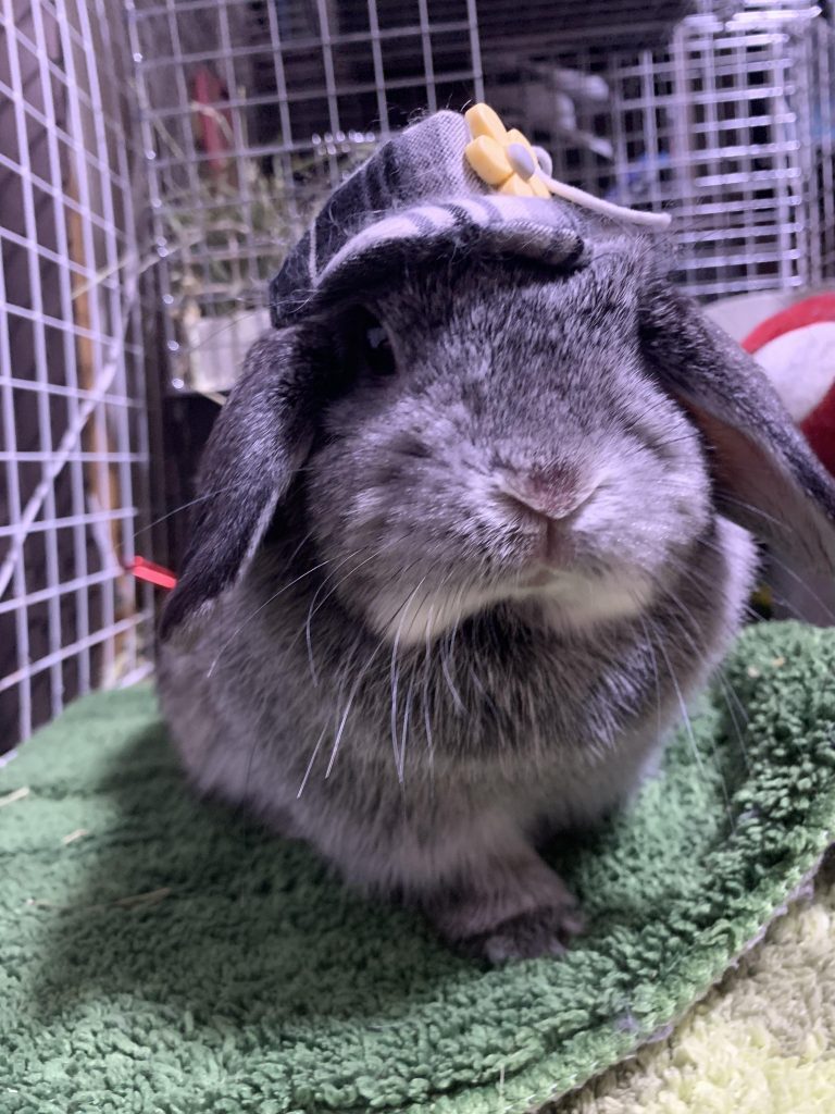 ご覧いただきありがとうございました