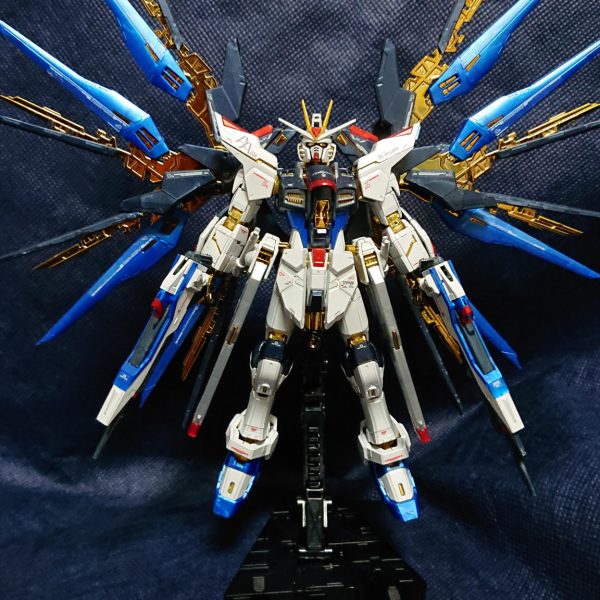 舞い降りる金色の翼    ストライクフリーダムガンダム（チタニュウムフィニッシュ）