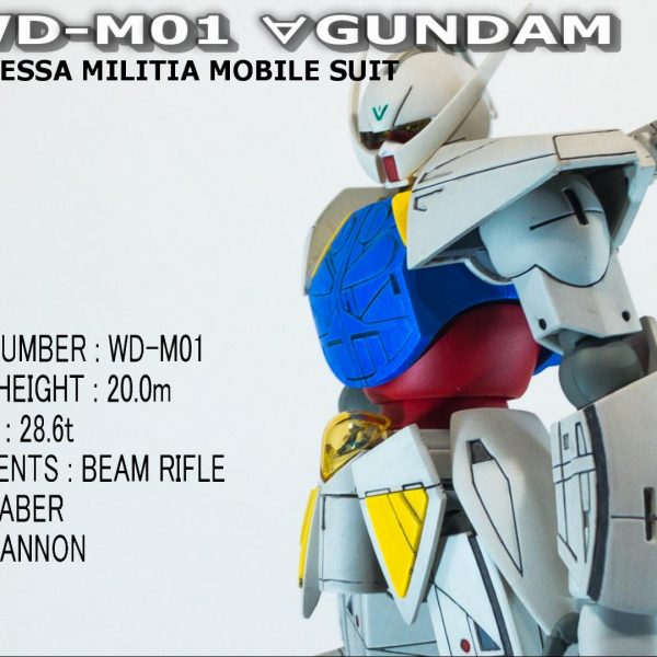 HGCC ターンエーガンダム