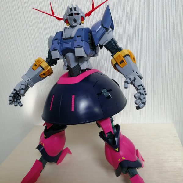 パオング・ドック（素組み）