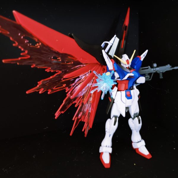 デスティニーガンダム(すみ入れ、艶消し)