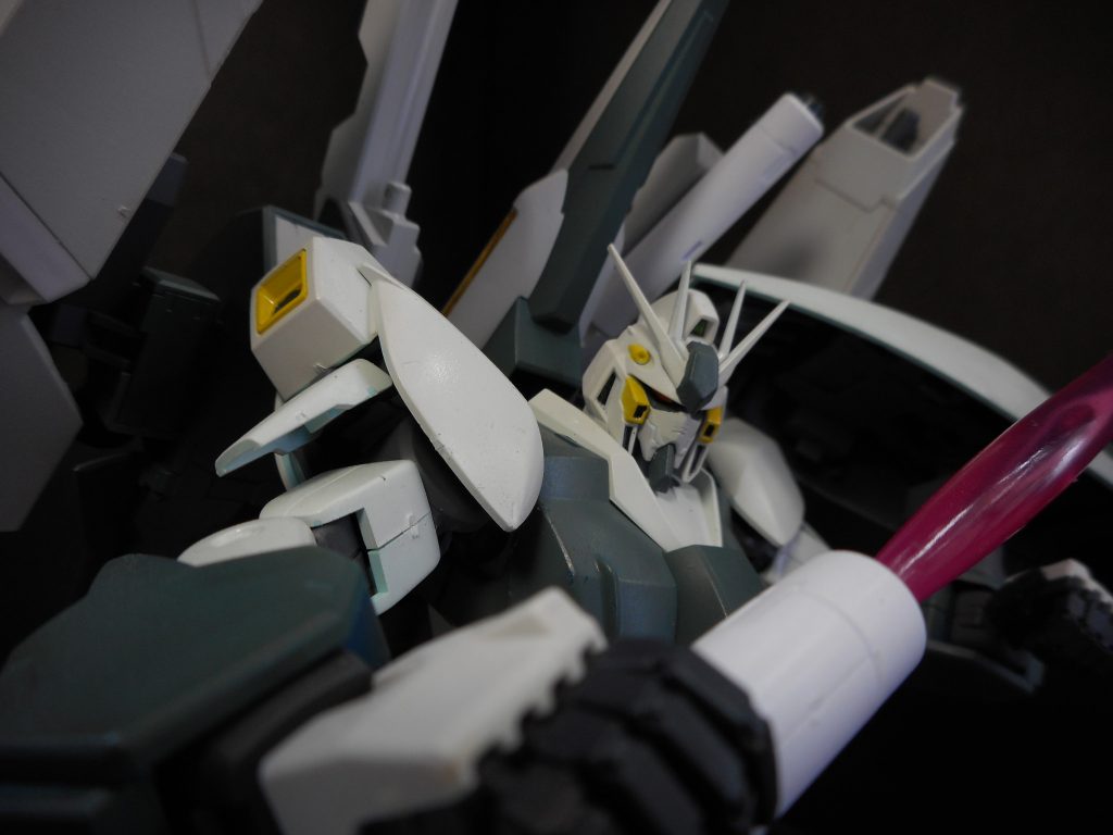 リガ・ズィ　カスタム–5枚目/制作者：umazo