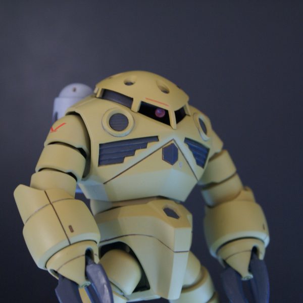 HGUC ズゴック サンドカラー