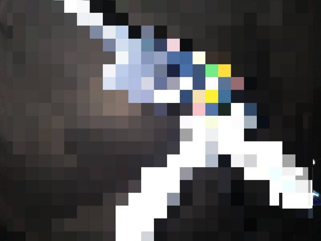 「何でモザイクしとんねん!」とっ、まあこんな感じでした! 「いやモザイクかかっとんねん!わからんやr…」一応許可は取りました!そのうち上げますそれではまた!