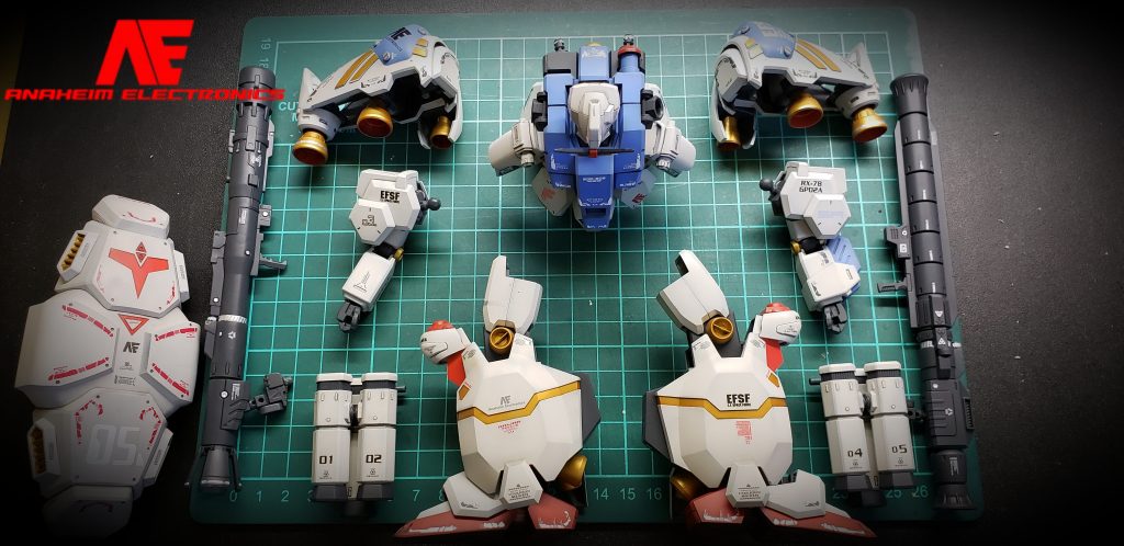 ワクワクタ〜イム🎵