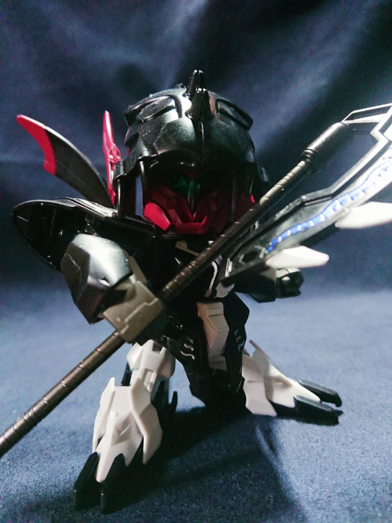 曹操や曹丕に仕えた毌丘興の息子。少ないながらも闇の血が流れる者のため、司馬懿の反乱の際には、他の機駕武将と共に闇の勢力に操られてしまう。真建国後に闇の勢力が復活した時には、再び闇の血が反応してしまったが故に、仕えていた司馬師に対し反乱を起こしてしまう。