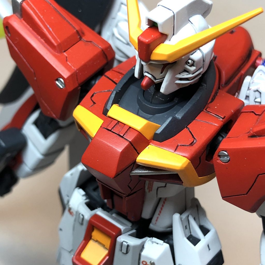 HGCE デスティニーガンダム EVA弐号機ver.–5枚目/制作者：AnalogKids