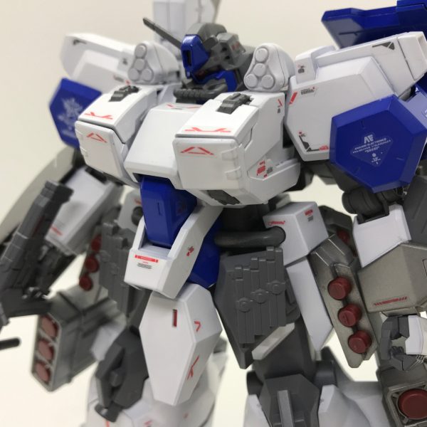 グスタフ・カール　HWS