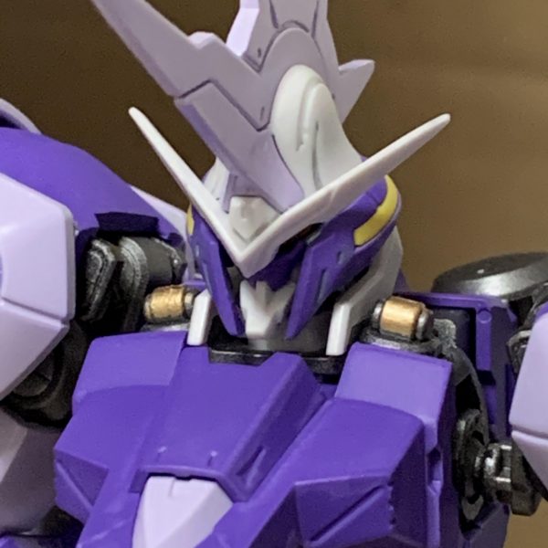 HGIBOキマリスヴィダール