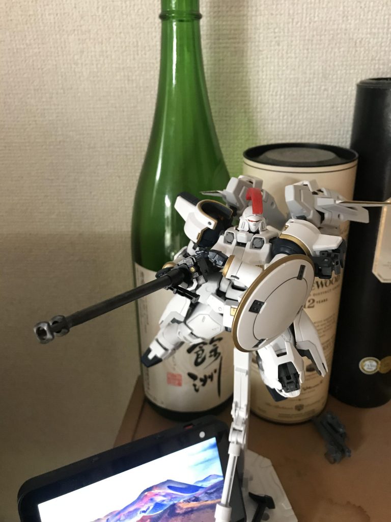 やっぱりドーバーガンも似合いますね