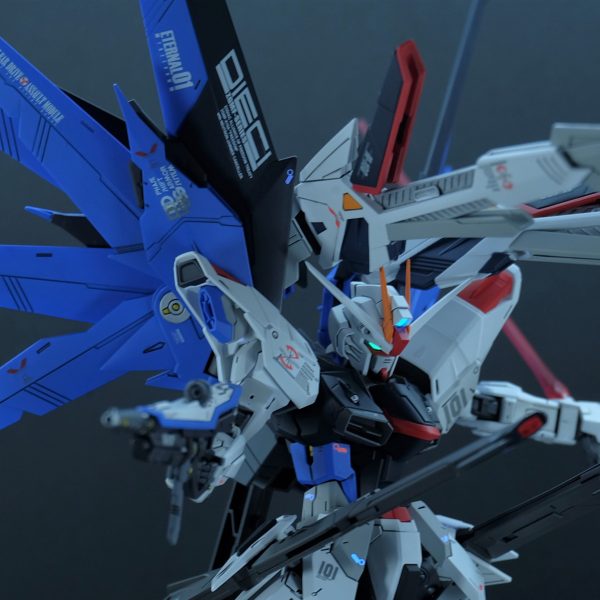MG　フリーダムガンダム　ver2.0