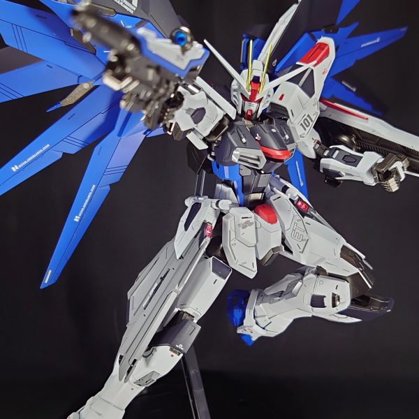 MGフリーダムガンダムVer.2.0 スペシャルコーティング 水転写デカール無し MG 1/100 フリーダムガンダム Ver．2．0 フルバースト