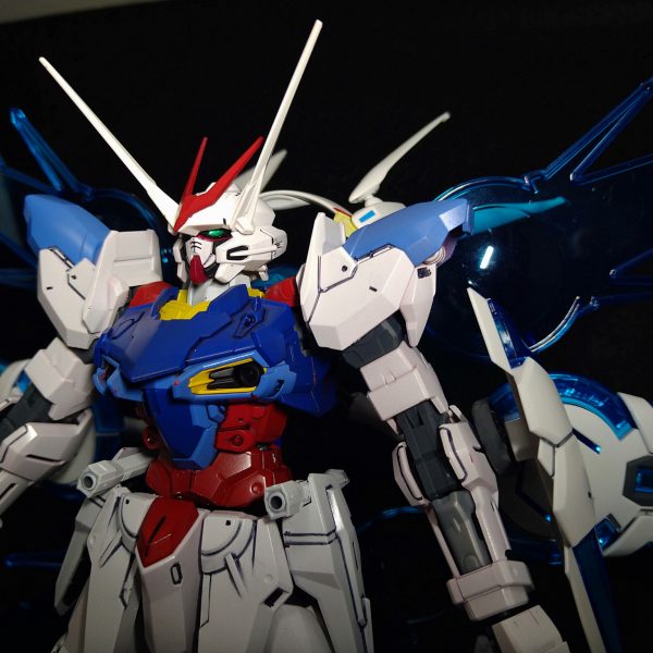 RGX-00s  SELF TESTAMENT GUNDAM